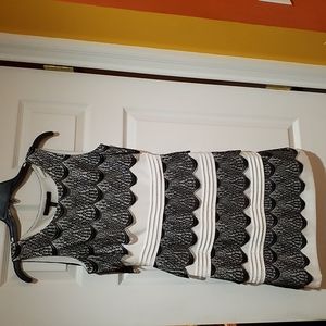 BCBGMaxAzria Black & White Scalloped Lace Dress.